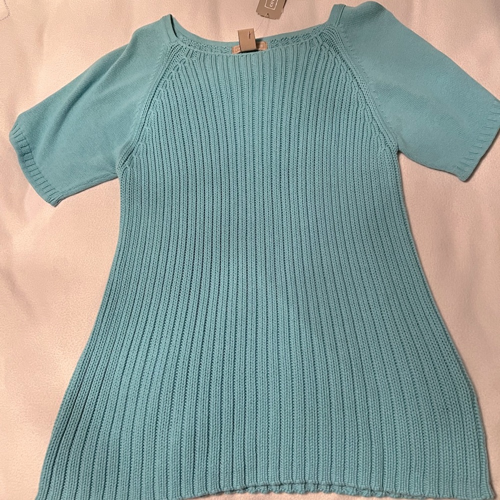 Short Sleeved Teal Sweater